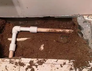 滕州测漏水哪家好