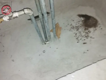 滕州卫生间测漏水价格明细