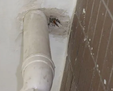 滕州漏水检测哪家好